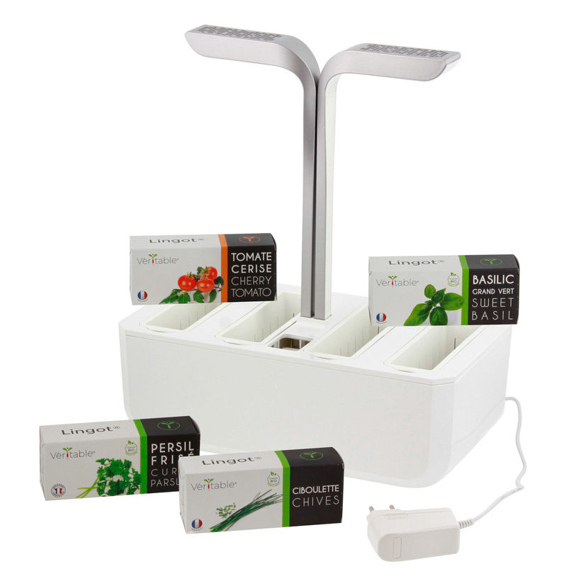 Potager d´intérieur Smart Arctic White - Véritable