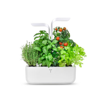 Achat en ligne Potager d´intérieur Classic - Véritable