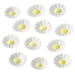 Décor en azyme : 12 mini marguerites blanches