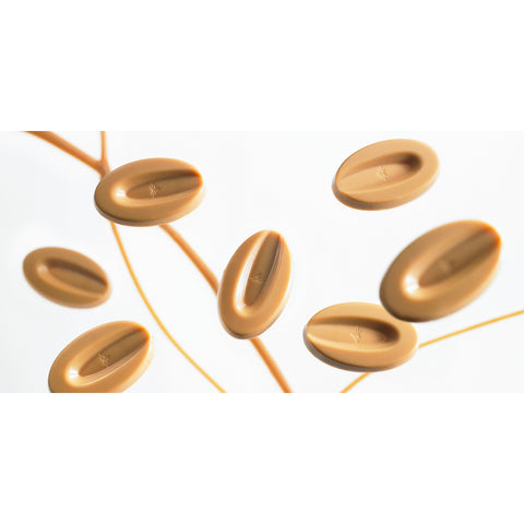 Chocolat à pâtisser blond Dulcey 32% 1 kg - Valrhona
